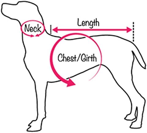 MLB Texas Rangers Dog T-Shirt, Small. - Licensed Shirt for Pets Team Colored with Team Logos. - Premium Stretchable Materials for The Comfort of Your Dog & cat.