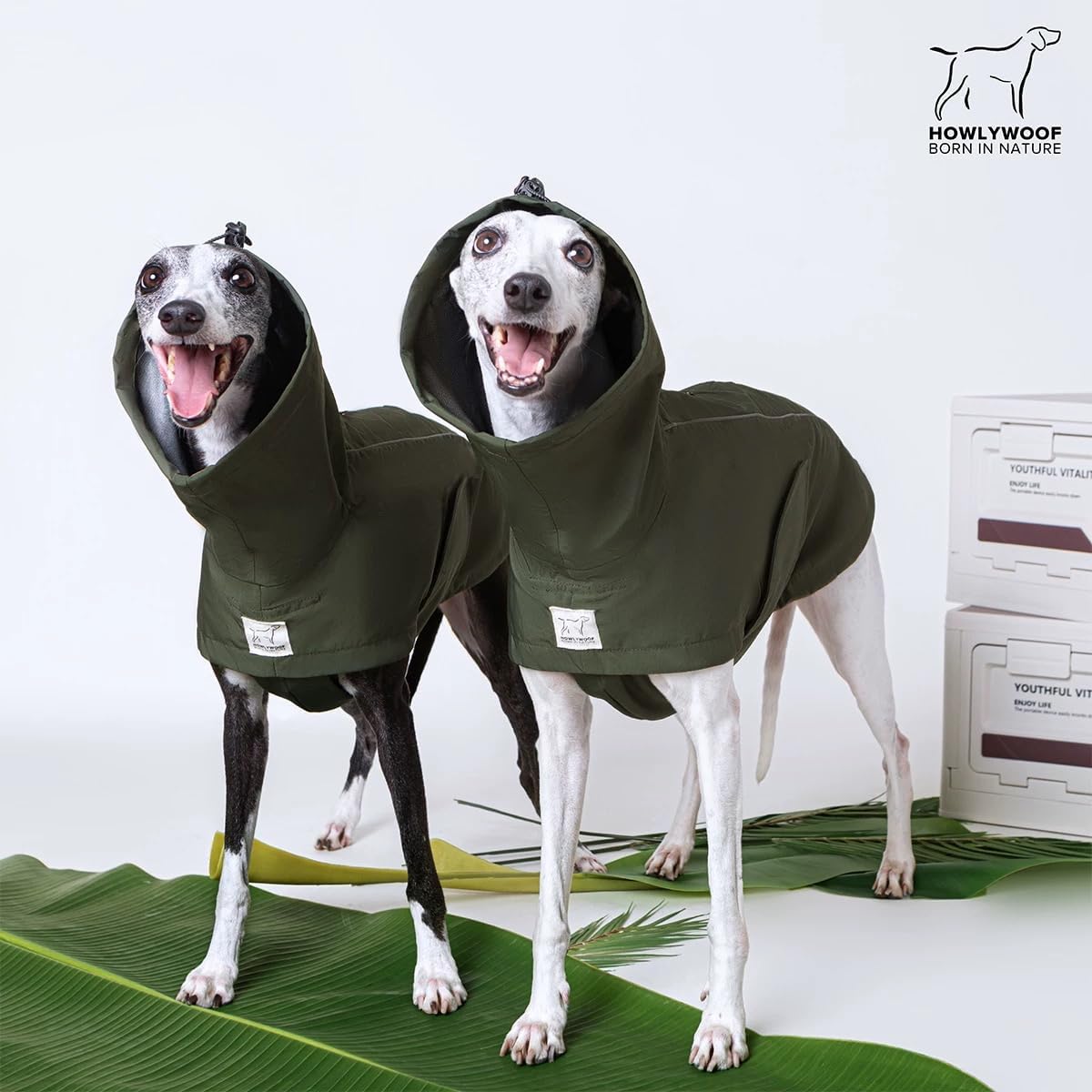 Waterproof Dog Raincoat, Hooded Raincoat for Dachshund Whippet Small Medium Large Dogs, Adjustable Dog Rain Coat Jacket (07(chest24.5-28.5, back20-23''))