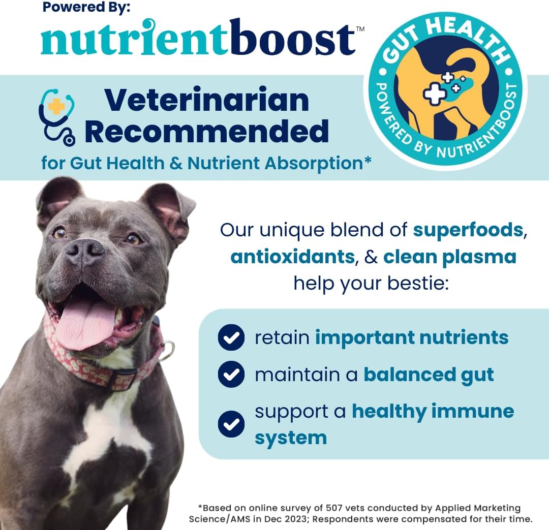 Solid Gold Healthy Dog Treats - Functional Peanut Butter Dog Treats w/Salmon Oil & Superfoods for Skin & Coat + Gut Health - Gluten Free Healthy Training Treat for Dogs of All Ages & Sizes - 5.2oz