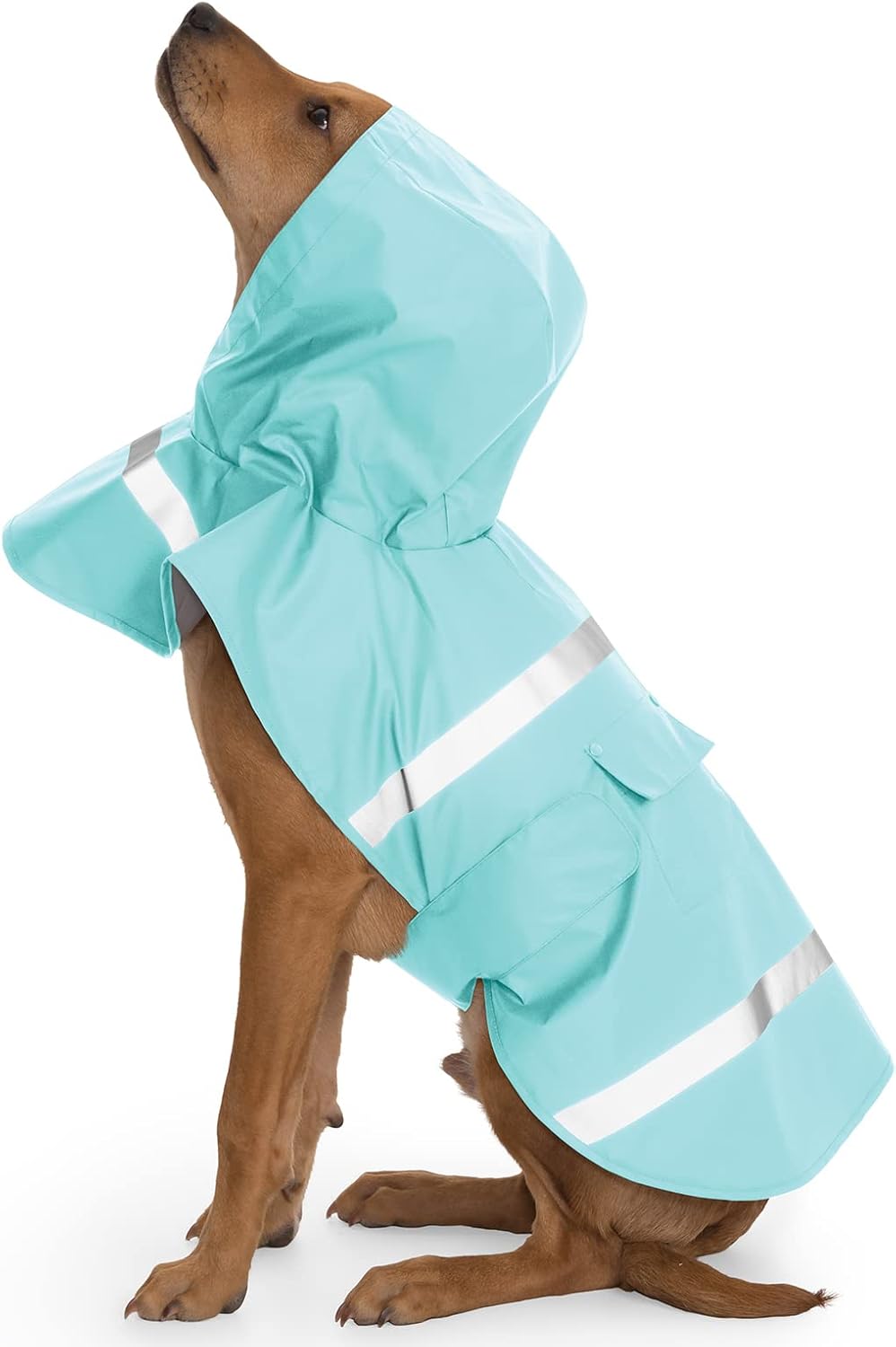 New Englander Doggie Rain Jacket