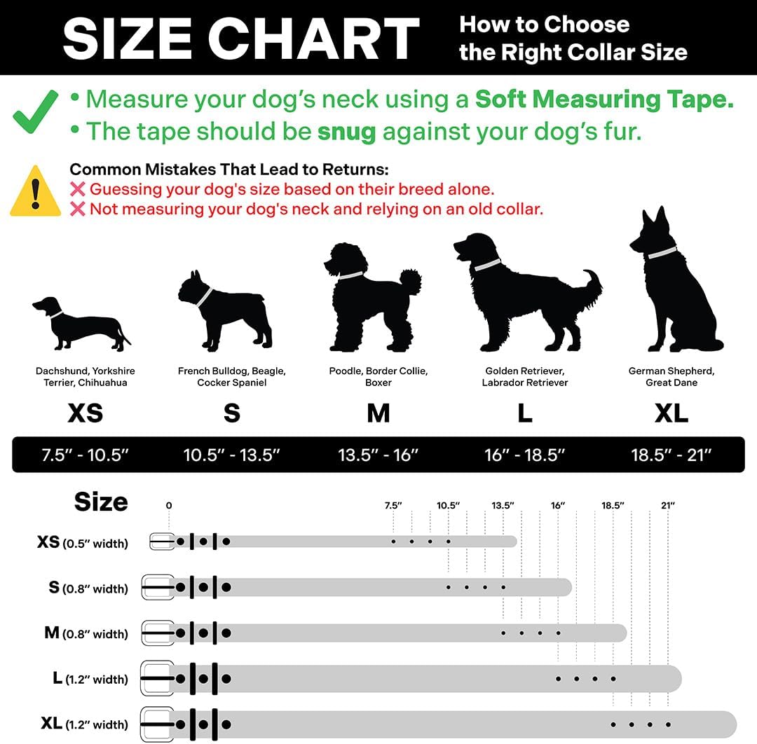 Classic Genuine Leather Dog Collar | Dog Collars for Medium Dogs, Small Dogs, Large Dogs & Extra Large Dog | Wide Dog Collar | Heavy Duty Dog Collar | Dark Brown (XS: 0.5" Wide for 7.5"-10.5" Neck)