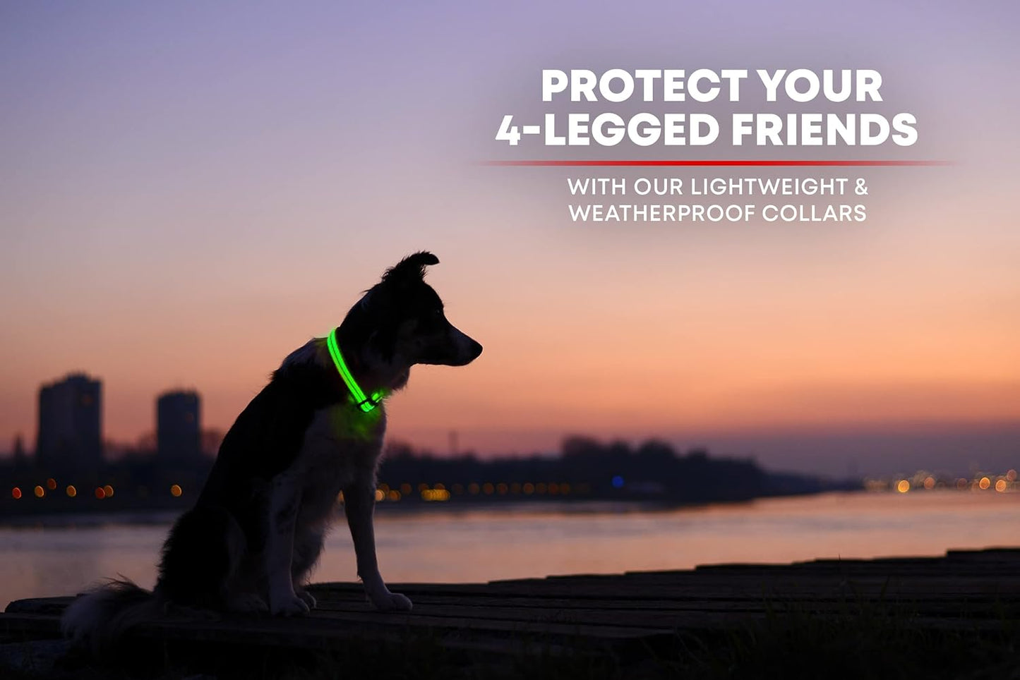 Illumiseen LED Dog Collar USB Rechargeable - Bright & High Visibility Lighted Glow Collar for Pet Night Walking - Weatherproof, in 6 Colors & 6 Sizes (Green XX-Small)