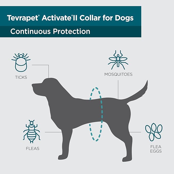TevraPet Activate II Flea and Tick Collar for Small Dogs, 12 Months Prevention, 2 Count, Fits Up 15" Size Neck