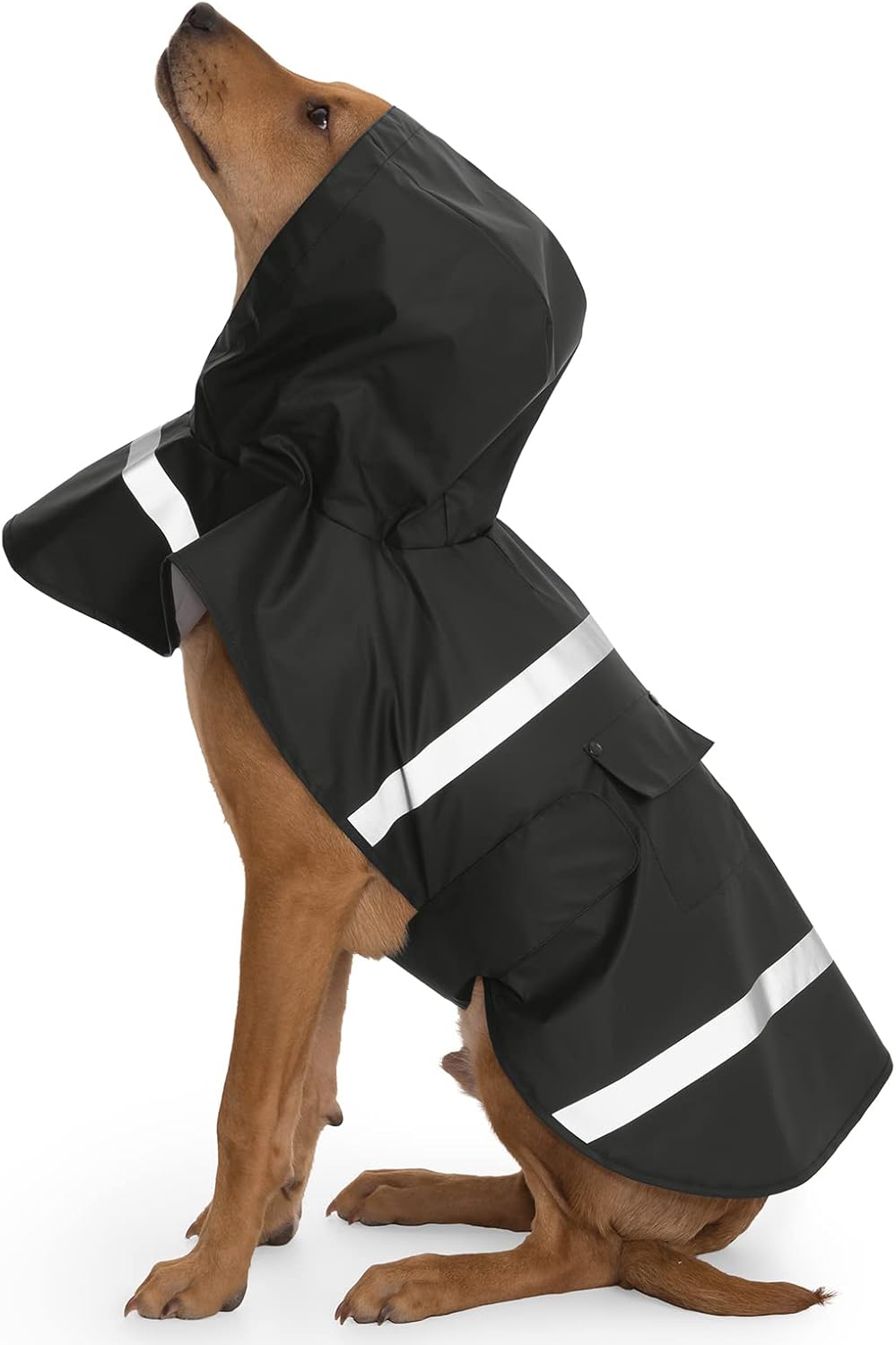 New Englander Doggie Rain Jacket