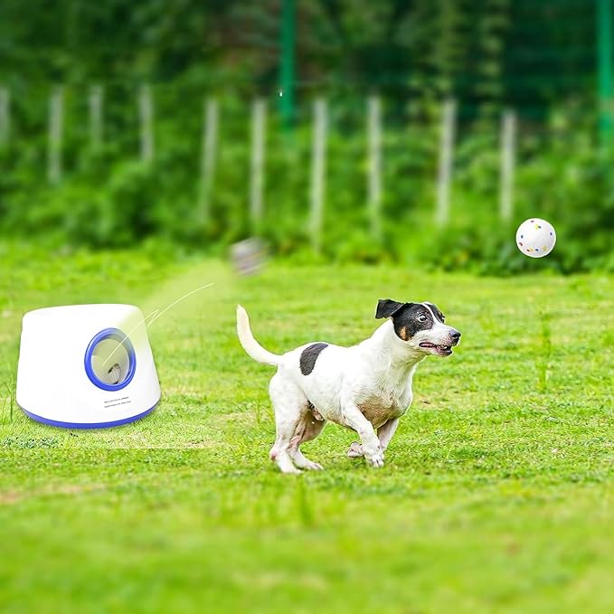 6 Pack Dog Toy Balls, 2.3 Inch ETPU Material, Replacement Balls for Automatic Ball Launcher Machine, Perfect for Small & Medium Dogs, Perfect for 2.3 Inch Automatic Launcher