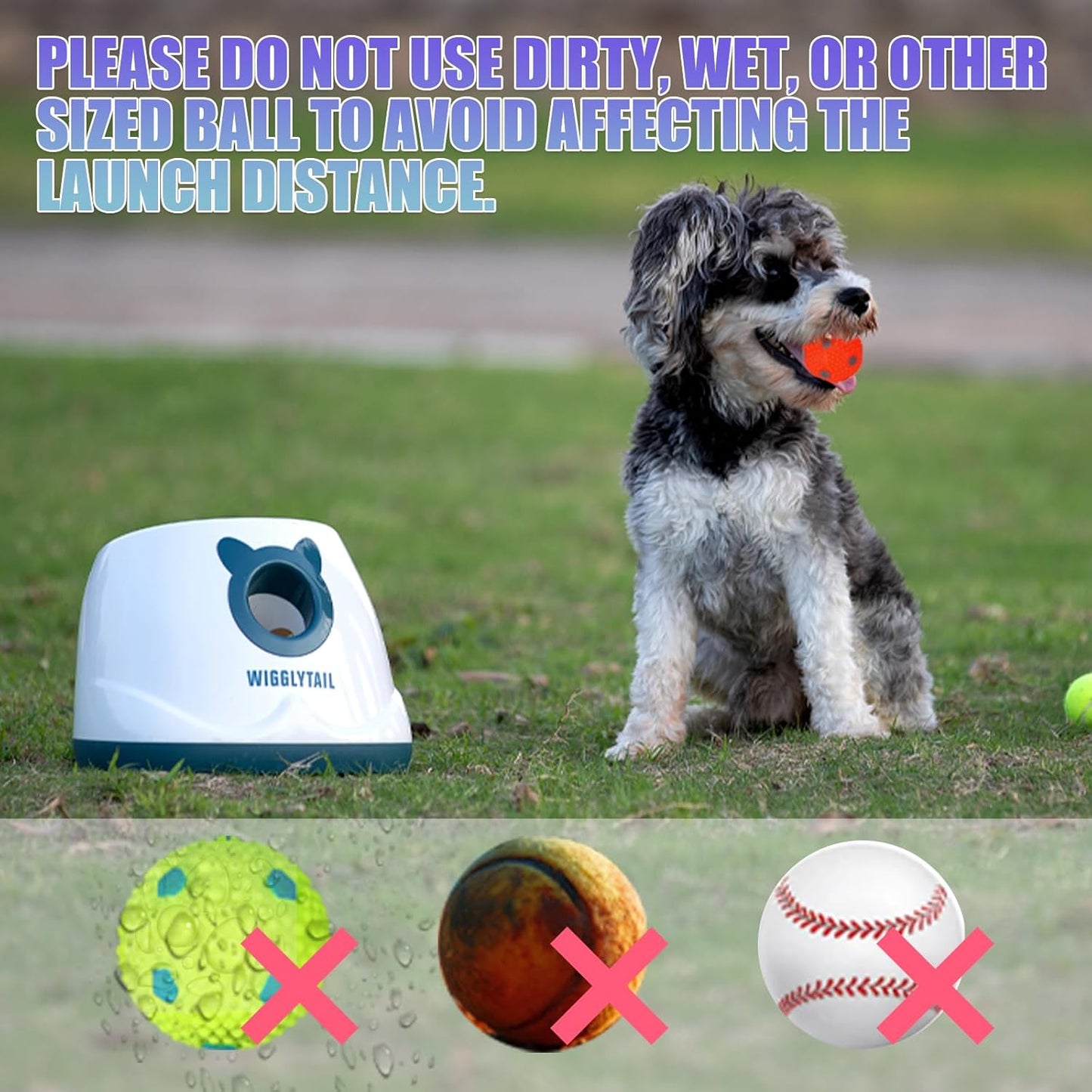 Automatic Ball Launcher for Dogs, Dog Fetch Ball Thrower Launcher, 4 Adjustable Distances, Interactive Pet Self Playing for Small Dogs and Puppies with 10 Balls (2 inches)