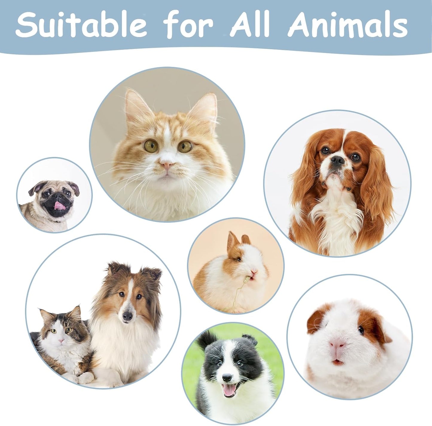 Cat Brushes for Indoor Cats, Dog Brush for Shedding with Metal Cat Comb, Self Cleaning Pet Hair Brush with Release Button for Grooming Kitten(Dark Grey)