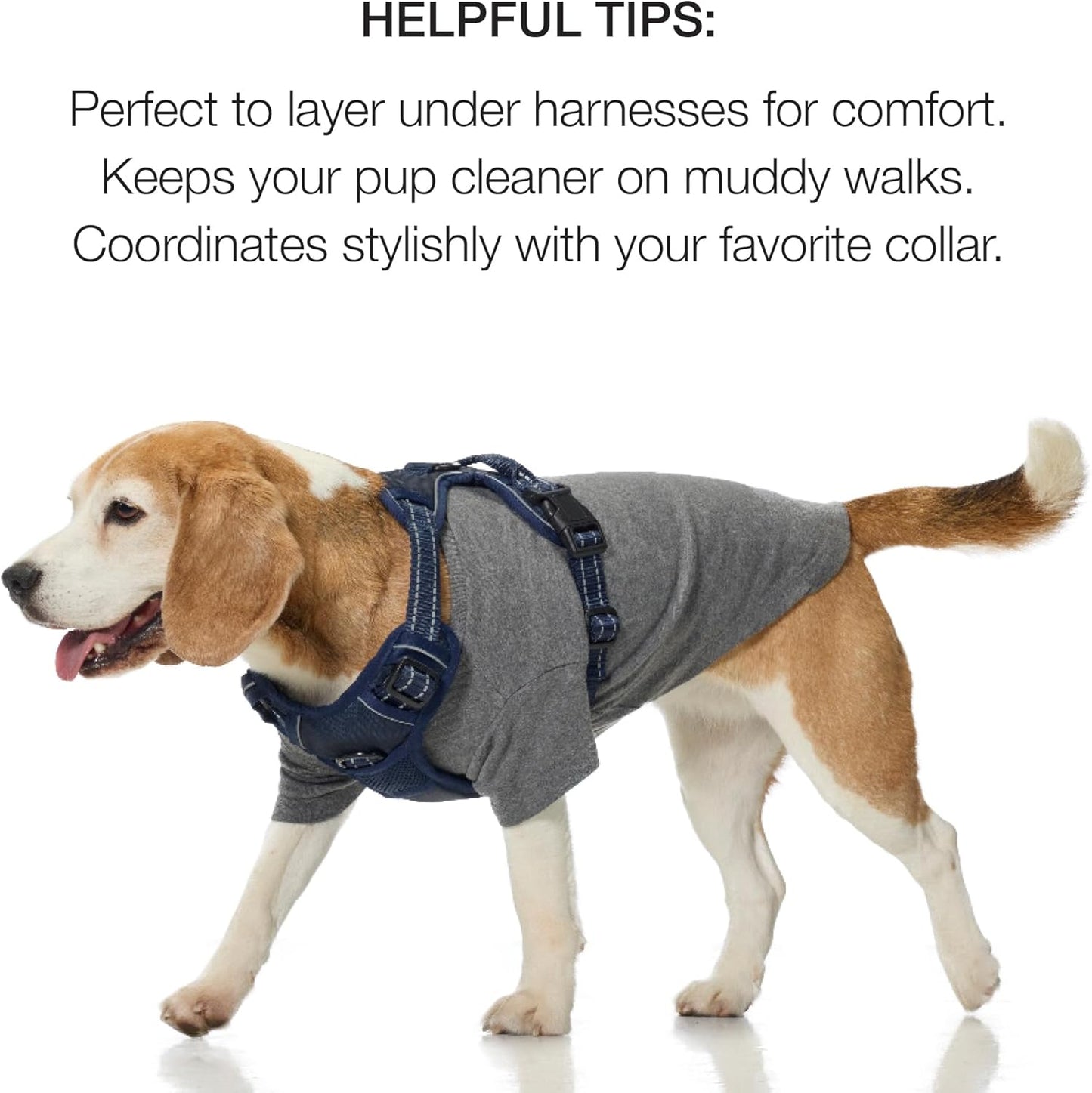 Toby II - The Perfect Tee, 8 Pack Short Sleeve Pet T-Shirt 100% Organic Cotton Tees Clothes for Small, Medium, Large Dogs, Rainbow Blue, XX-Large