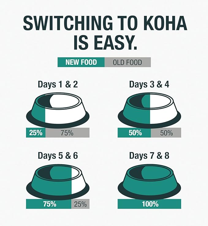 KOHA Limited Ingredient Diet Lamb Entrée for Dogs - Grain Free Wet Dog Food with No Fillers - Canned Dog Food Sensitive Stomach - 13 oz Pack of 12