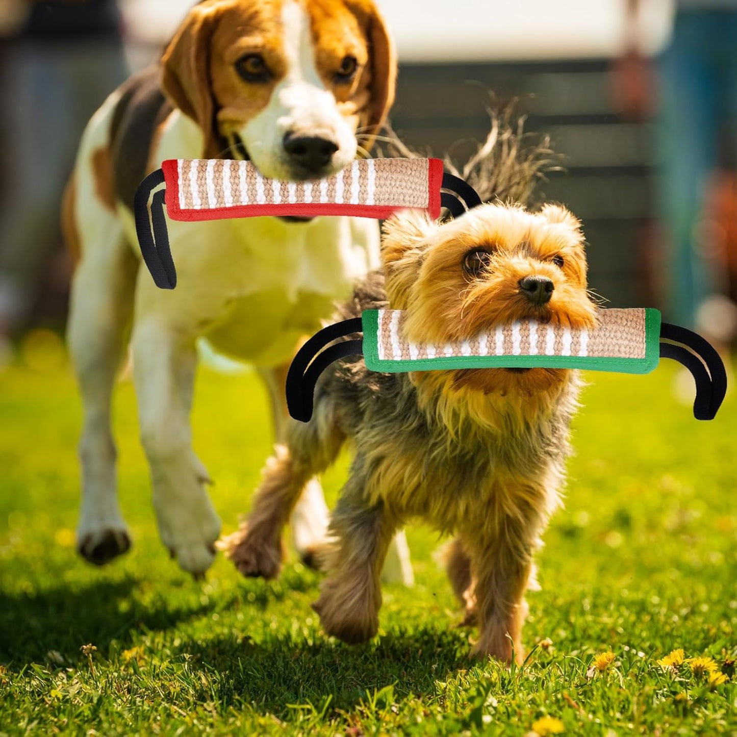 Kacctyen 4 Pcs Dog Tug Toys, Jute Pillow Pull Toy with 2 Strong Handles Tug of War Interactive Play Puppy Training Equipment for Medium to Large Dogs, 4 Colors(Stylish Color)