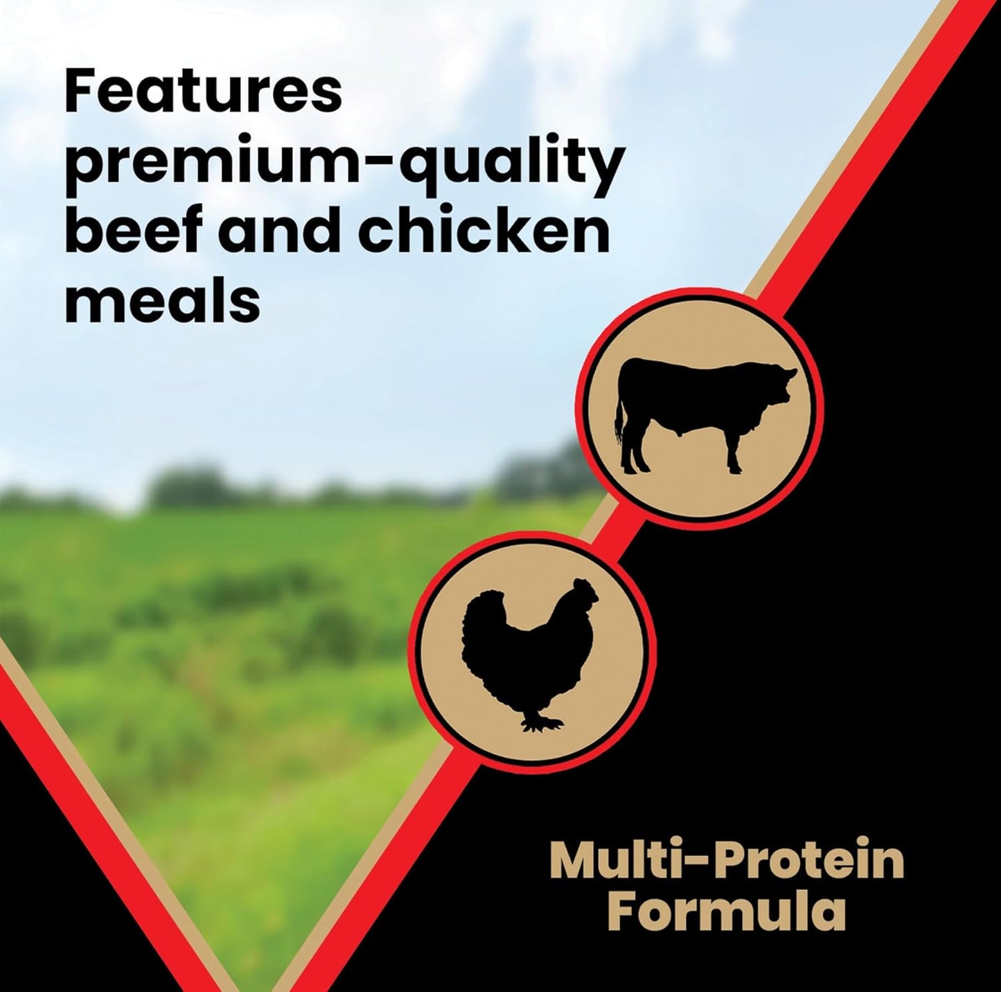 VICTOR Super Premium Dog Food – High Energy Dry Dog Food for Active Dogs – Gluten Free Canine Kibble with Beef and Chicken Meal Proteins for Sporting Dogs – All Breeds and All Life Stages, 15 lb