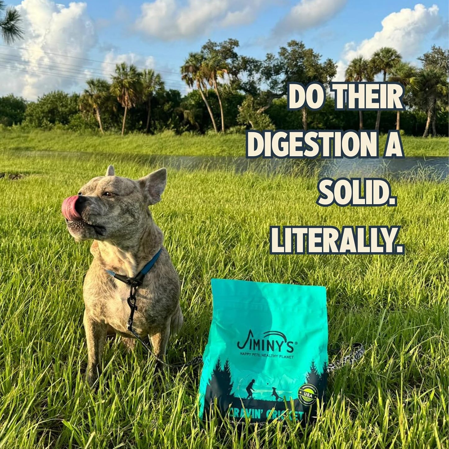 Jiminy's Cravin’ Cricket Dry Dog Food, Sensitive Stomach, Improved Gut Health, Probiotic & Prebiotic, Hypoallergenic, Lower Carbon Footprint, Made in USA, 3.5lb Bag (Pack of 1)