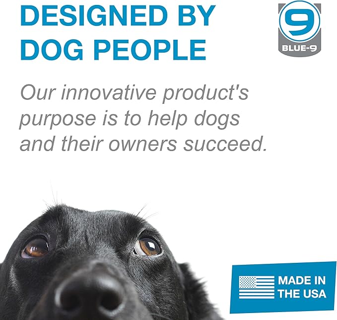 Blue-9 Reflective Dog Training Leash, 9 Inch Tab Lead with 3M Reflective Stitching for Obedience, Recall, and Agility Training, Made in The USA, Grey