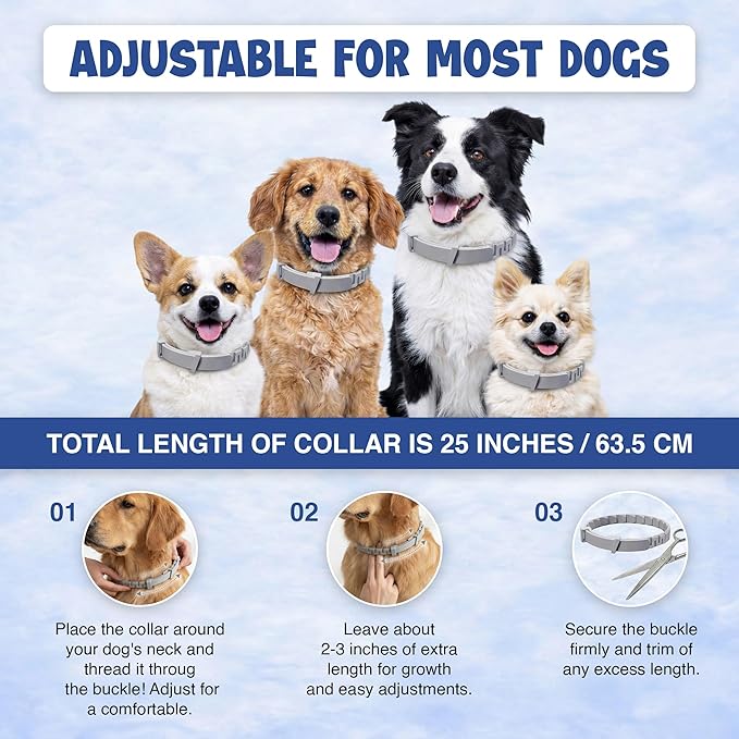 Dog Flea and Tick Collar (2 Pack) – Natural Waterproof Flea Collar for Dogs with 8 Month Protection, Adjustable Dog Flea Collar Includes Tick Removal Tool & Flea Comb for Dogs & Puppies