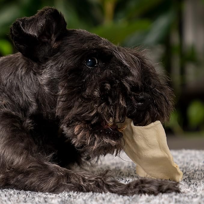 Pet Factory 100% USA Made Beefhide 8in Rolls Dog Dental Chews - Thick Rawhide Dental Chews for Dogs, Promotes Healthy Teeth & Gums, 99% Digestible - 8 Ounce (Pack of 1)