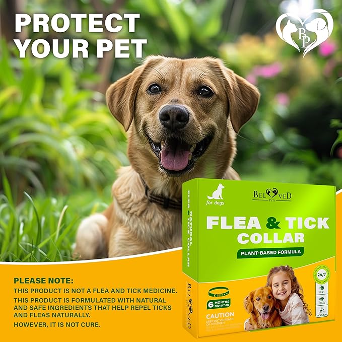 Natural Flea & Tick Collar for Dogs - 6 Months Control of Best Prevention & Safe Treatment - Anti Fleas and Ticks Essential Oil Repellent (1 Count (Pack of 1))