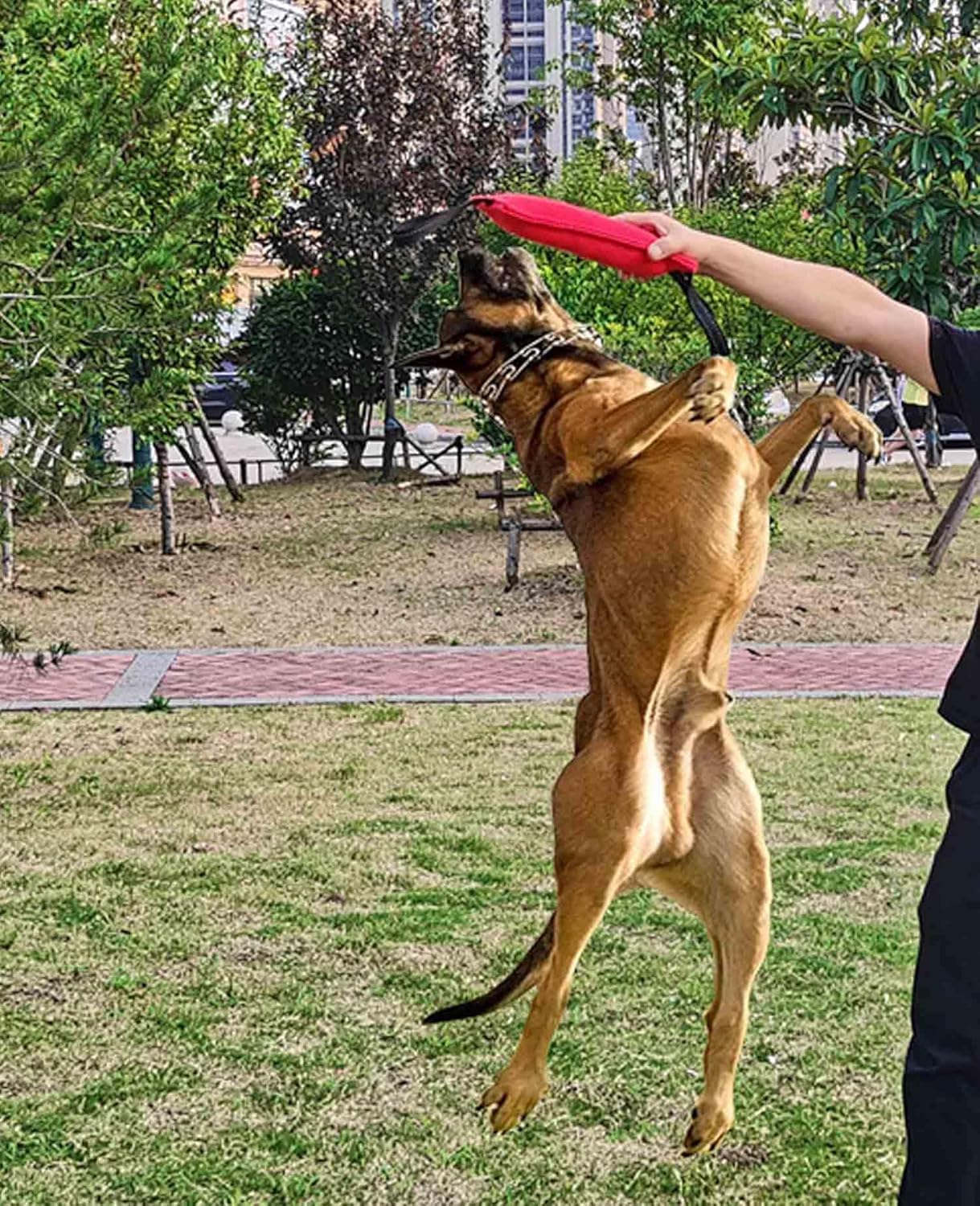 Clysrou Dog Tug Toy Dog Tough Jute Bite Pillow Lasting Training Equipment Puppy to Large Dogs Interactive Toy