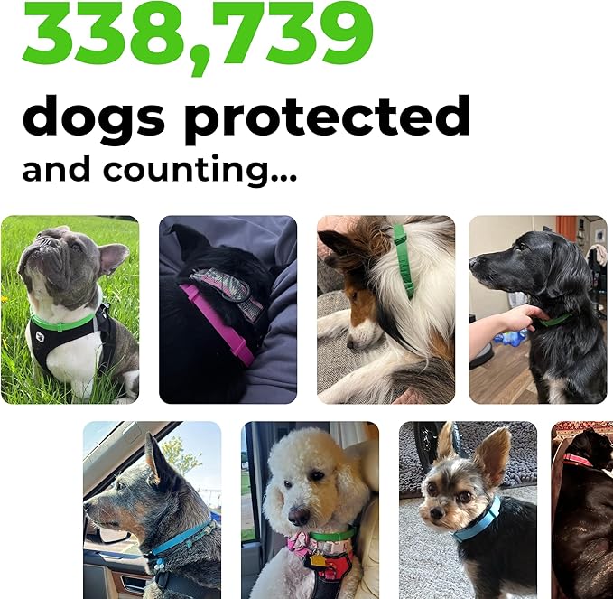 FurLife Flea and Tick Collar for Dogs – Waterproof Black Dog Collar, Pet Supplies for Tick and Flea Prevention for Dogs, Safe for All Breeds