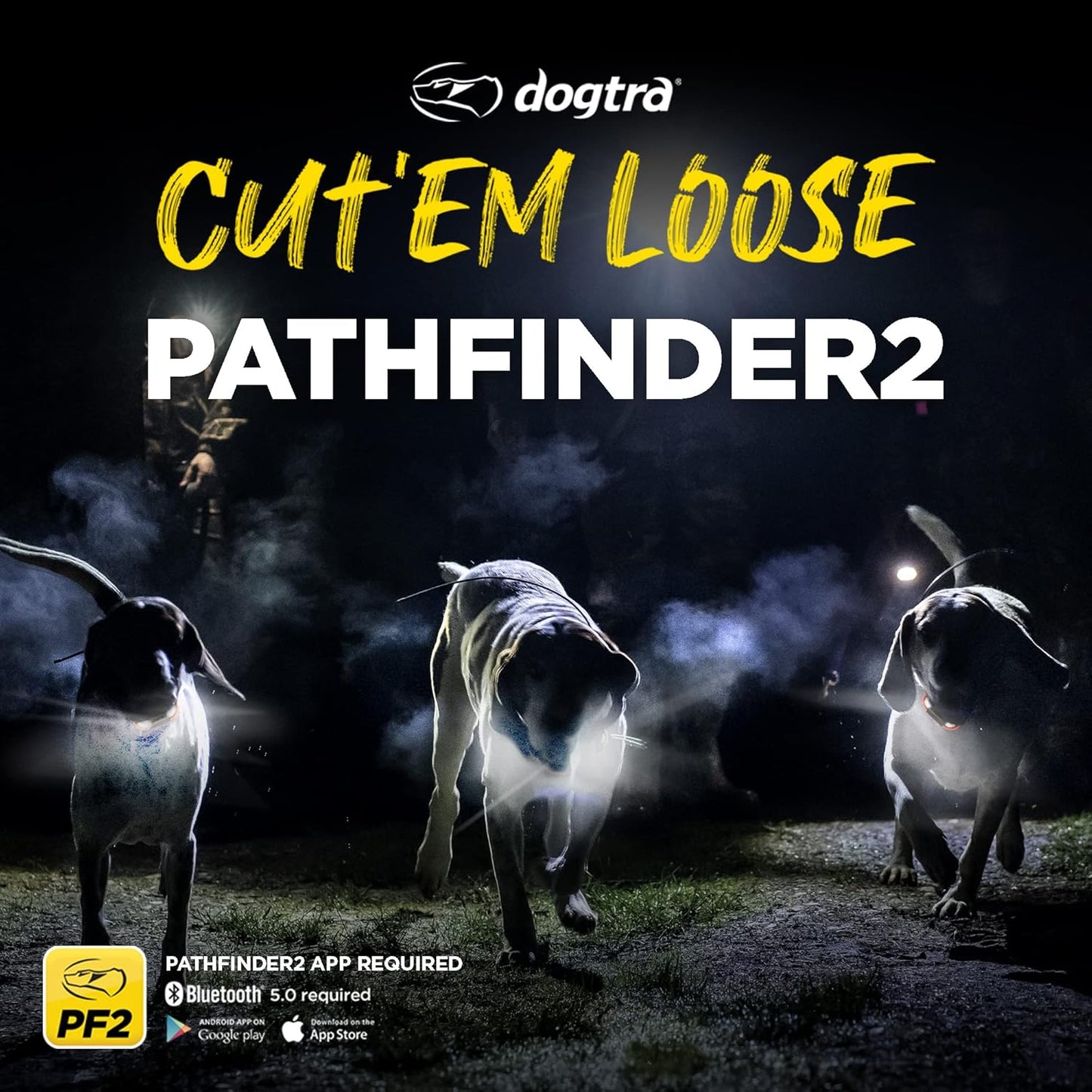 Dogtra 2 Dog Pathfinder 2 GPS Dog Tracker e Collar with PATHFINDER2 Green Add on Receiver LED Light No Monthly fees Free App Waterproof Smartwatch Control Long Range Multiple Dogs Smartphone Required