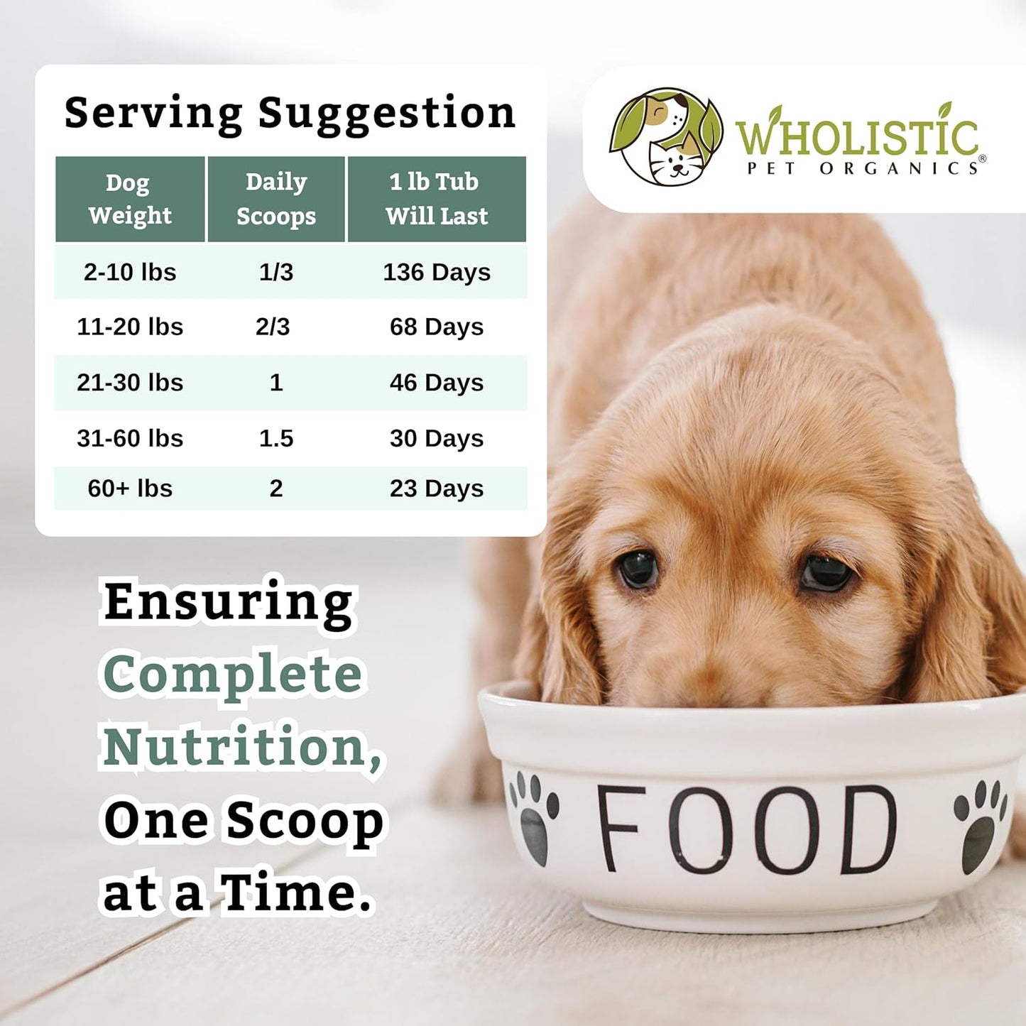 Wholistic Pet Organics Puppy Complete - Dog Multivitamin Powder - 1 Lb - Daily Dog Vitamins & Supplements for Homemade Food - Immune System, Skin, Coat & Overall Health - Small and Large Breed Puppies