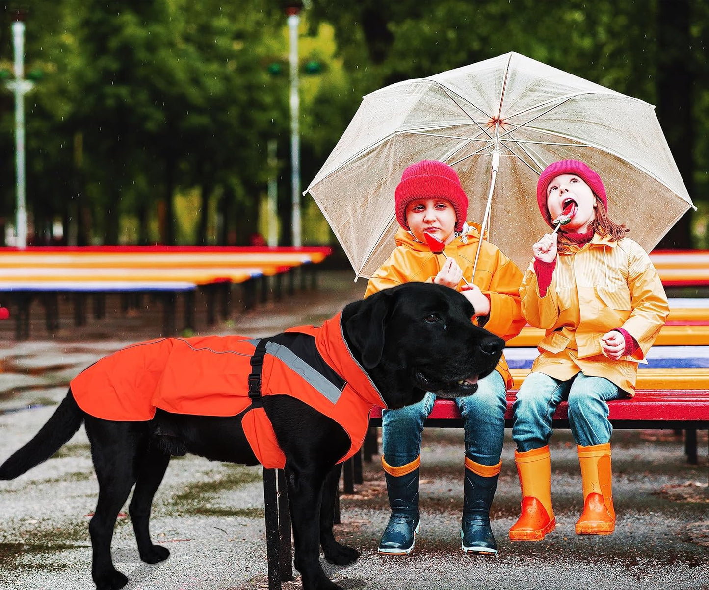 Dog Rain Coat - Waterproof, Reflective, Bright Orange with Leash Hole (L, Orange)