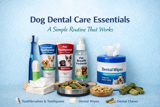 Dog dental care essentials including toothbrush, toothpaste, dental wipes, and dental chews arranged on a clean blue background