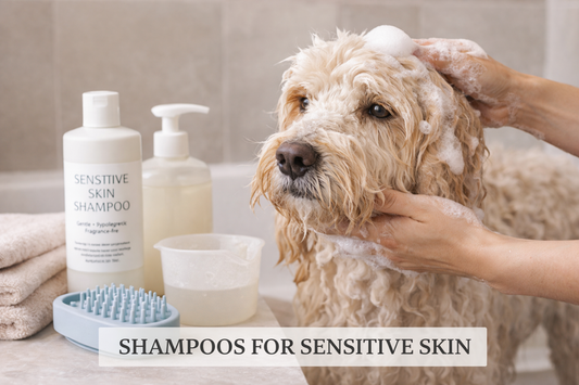 Dog being gently bathed with sensitive skin shampoo while grooming tools and bottles are arranged nearby in a clean bathroom setting