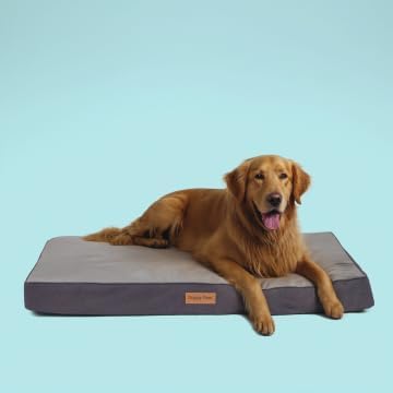 Orthopedic Memory Foam Dog Bed for Extra Large Dogs, Waterproof Lining and Non-Slip Bottom, Removable and Machine Washable Cover (41" x 29", Up to 100LBs)
