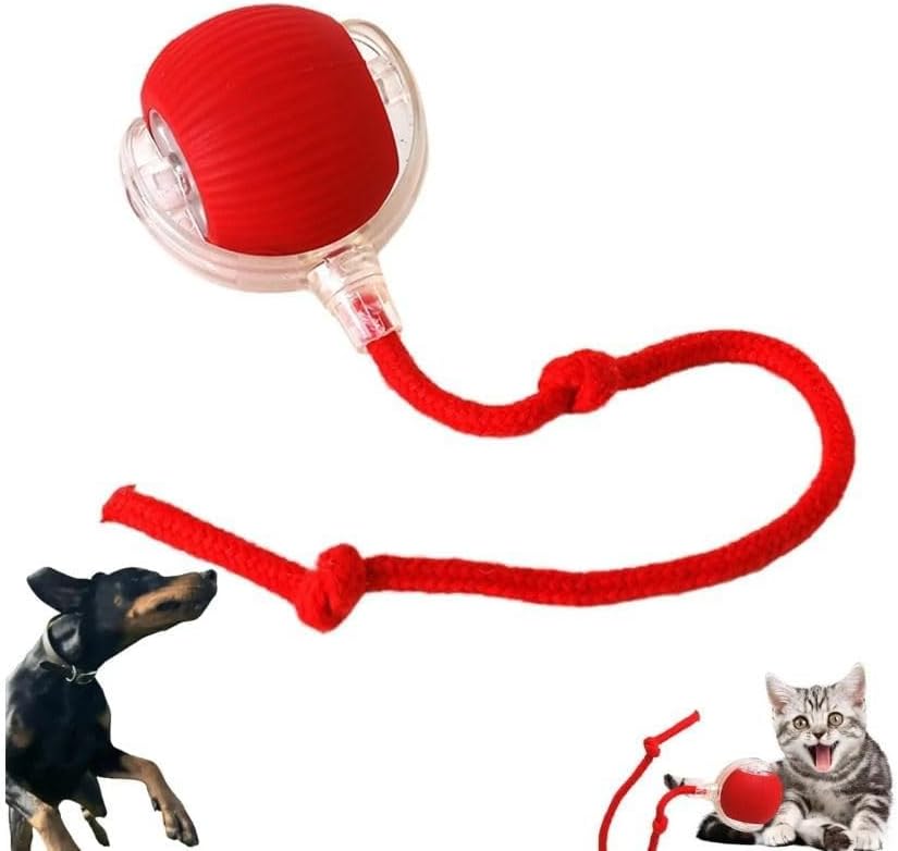 Automatic Ball for Small Dogs & Cats - Activated Moving Toy, Rechargeable, Self Play, Ball Toy with Long Tail Teaser