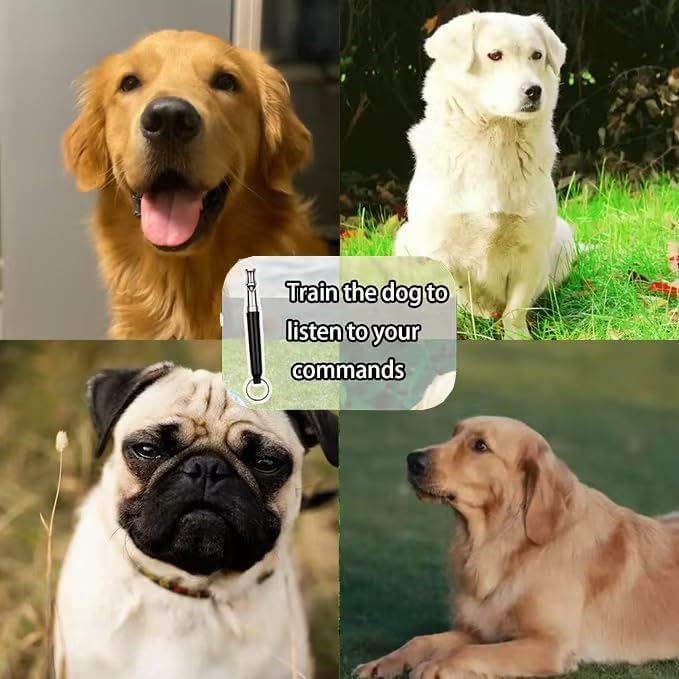 Dog Whistle to Stop Barking Neighbors Dog Adjustable Ultrasonic Silent Dog Whistle, Professional Recall Dog Training Whistleswith Lanyard ，2 Pack Dog Whistle.