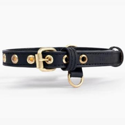 Two Tails Pet Company Cactus Vegan Leather Dog Collar, Adjustable Pet Collar with Gold Hardware and D Rings for Leash and ID Tag for Dogs and Puppies, Easy to Clean & Eco Friendly, Black, Size Large
