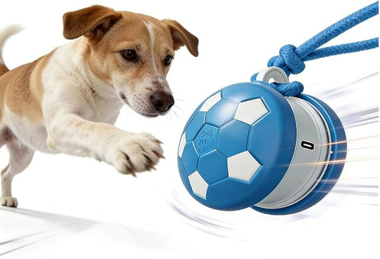 Interactive Dog Balls, Electric Moving and Rolling Enrichment Dogs Ball with Rope, Interactive Pet Ball for Small Medium Large Dogs, Automatic Dog Balls to Keep Them Busy (Blue)