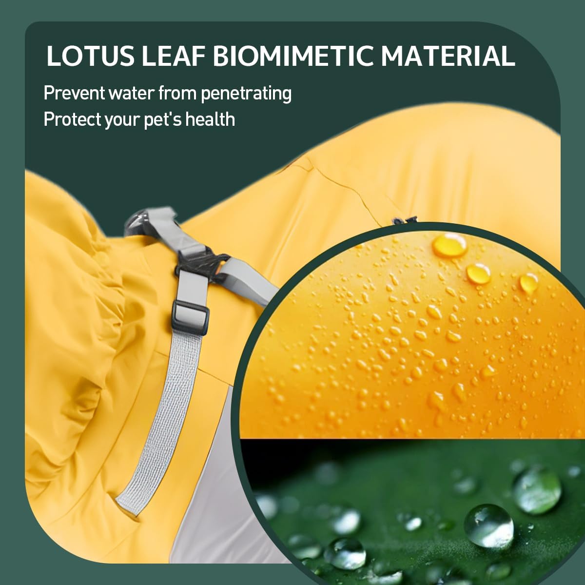 Waterproof Dog Raincoat with Windproof Design Adjustable Fit for Small Medium Large Dogs, Puppies Includes Anti-Slip Dog Shoes for Hardwood Floors and Water Protection, Light-Weight (2XL)