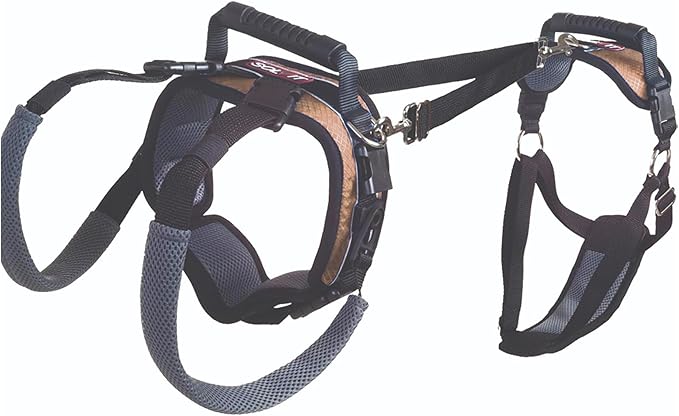PetSafe CareLift Support Harness - Lifting Aid for Senior or Injured Dogs - Breathable Mesh - Machine Washable - Post-Surgery Dog Support - Medium
