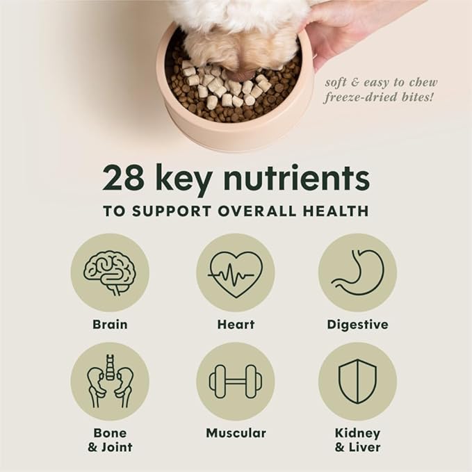 Instinct Raw Boost Mixers Multivitamin for Adult Dogs Freeze-Dried Food Topper, 5.5 oz. Bag