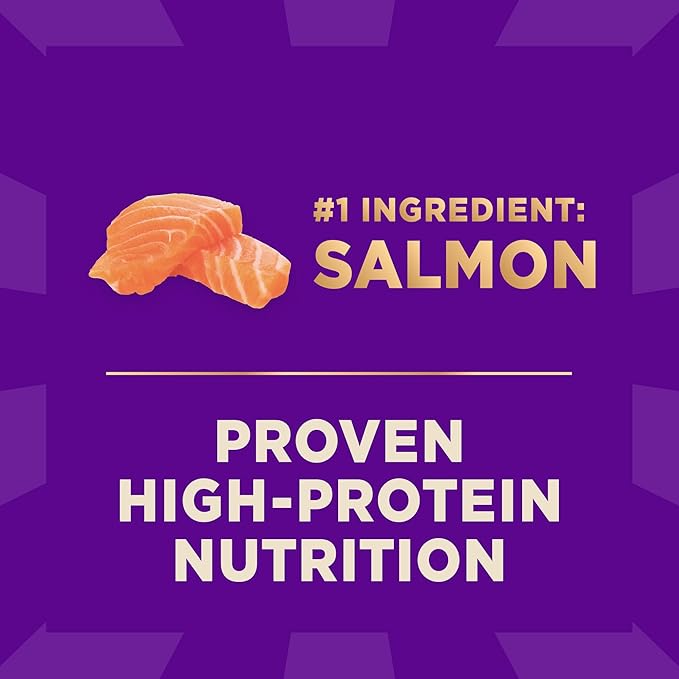 Wellness CORE+ Sensitive Skin & Stomach Dry Dog Food with Freeze Dried Pieces, Wholesome Grains, High Protein, Natural, Salmon & Rice Recipe, (4-Pound Bag)