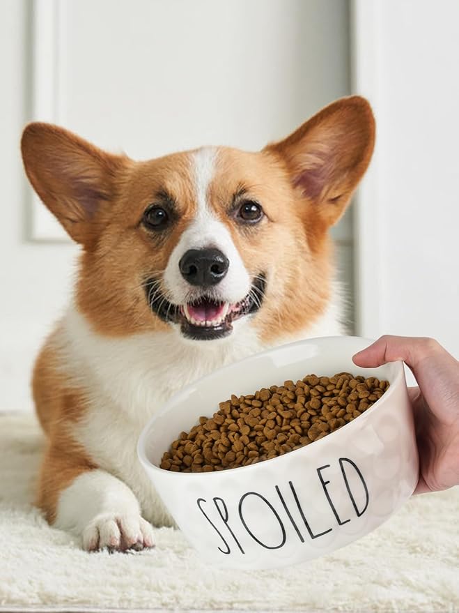 27OZ Ceramic Dog Bowl - 6 Inch Small Food Water Bowl, Heavy Duty Non-Slip Dog Dish for Medium Dogs, Food Grade Porcelain Pet Feeder Bowls, Microwave & Dishwasher Safe, White