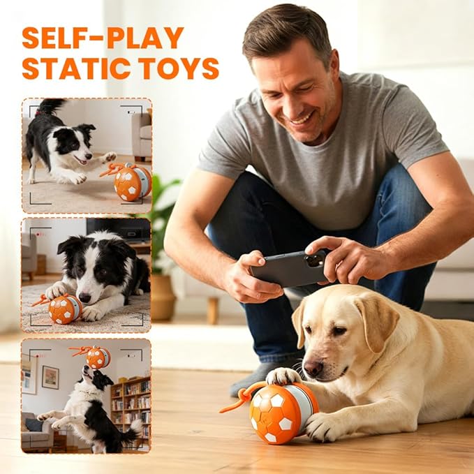 Interactive Dog Balls, Electric Moving and Rolling Enrichment Dogs Ball with Rope, Interactive Pet Ball for Small Medium Large Dogs, Automatic Dog Balls to Keep Them Busy (Orange)