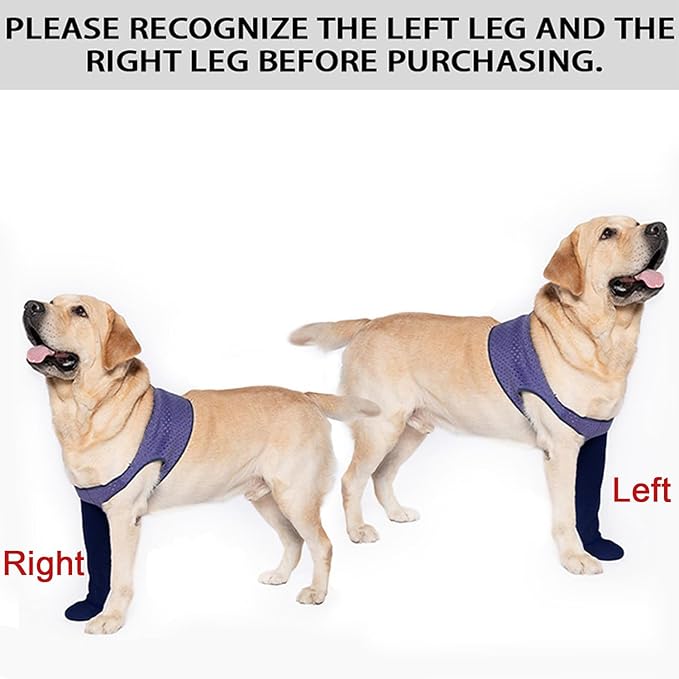 COODEO Dog Socks to Prevent Licking Paws, Healing Boots & Paw Protectors with Non-Slip Bottoms for Wound Protection, Waterproof Sleeve Shoes for Licking（Purple，L_Right