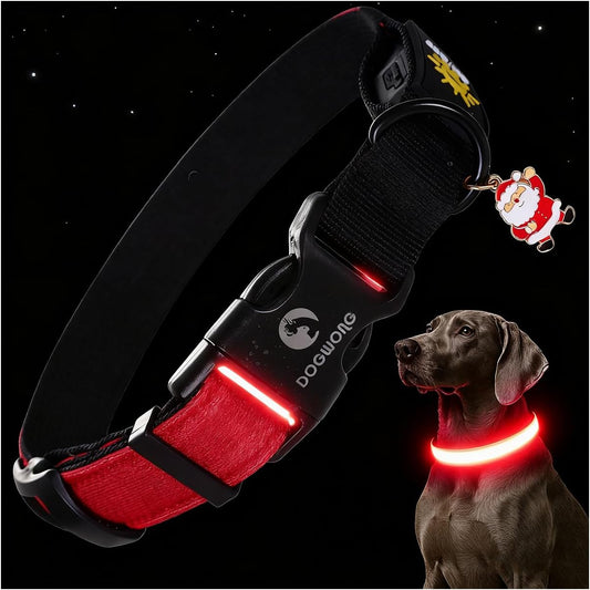 DOGWONG LED Dog Collar - Heavy Duty Light up Collars - Rechargeable Waterproof - Lighted Dog Collar for Night Walking, Hiking, Camping(Red,M)