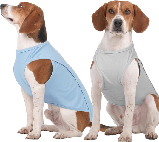 2 Pack Dog Shirt, Quick Dry Cooling T-Shirt for Summer Hot Day, Lightweight Sun Protection Dog Clothes for Boy Girl Easy to Put on, Blue+Grey, XL