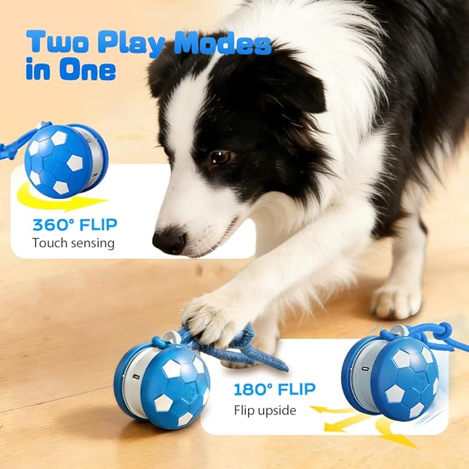 Interactive Dog Balls, Electric Moving and Rolling Enrichment Dogs Ball with Rope, Interactive Pet Ball for Small Medium Large Dogs, Automatic Dog Balls to Keep Them Busy (Blue)