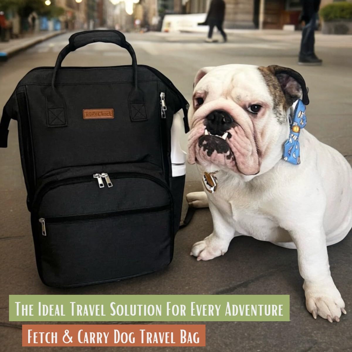 Tito's Closet Dog Travel Bag Includes Pet Travel Accessories 2-Pack Travel Bowl, 2 Dog Food Containers, Treat Bag (Black), DB2024