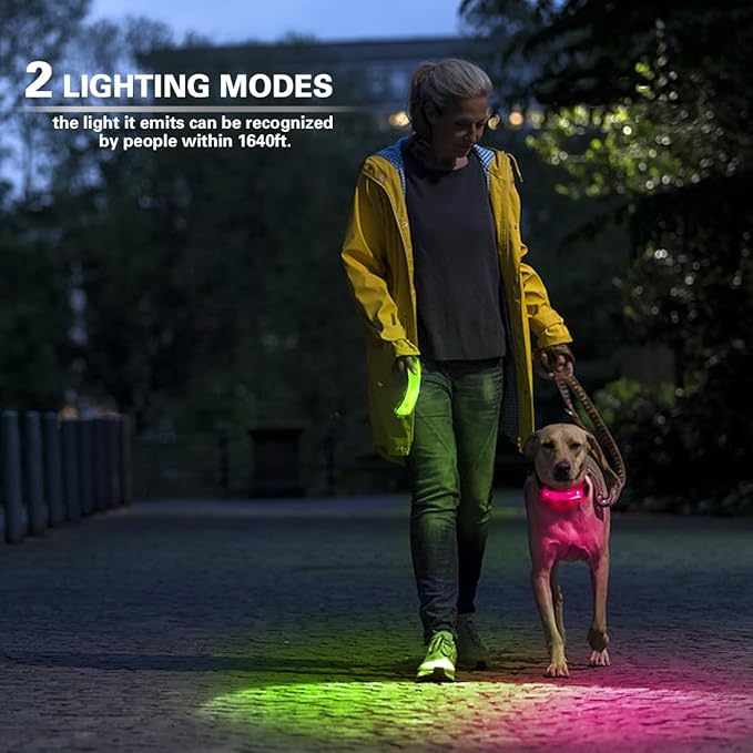 2 Pack LED Light for Dog Leash Harness, Light Up Dog Collar with Nylon Stickers, Waterproof Glow Light Easy to Attach to Collar Leash and Harness, Safety LED Light Up Band for Dogs at Night Walking