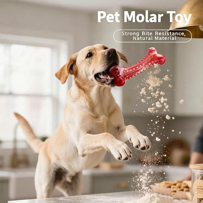 Natural Rubber Dog Chew Toy, Red, Dental Cleaning Bone with Bump Design, Teeth Grinding Stick (Beef Flavor)