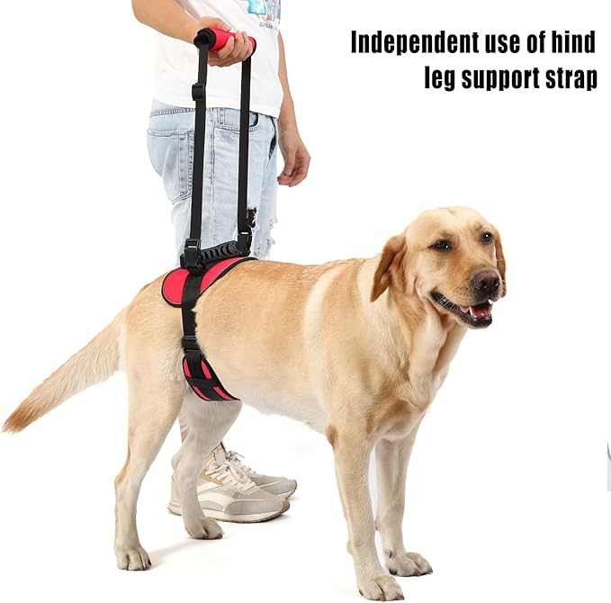 NOYAL Dog Lift Harness for Senior & Injured Pets – Full-Body Support Sling with Breathable Mesh, Front/Rear Leg Assist for Arthritis, Hip Dysplasia & Post-Surgery Recovery (Medium-Large Breeds)