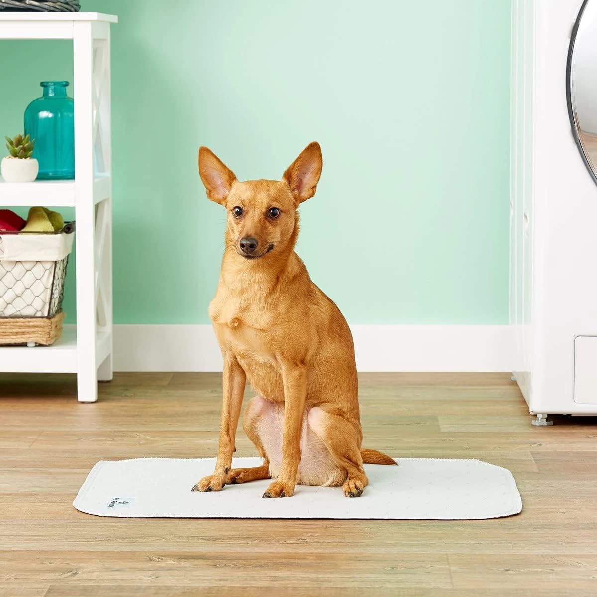 Pet Parents® Pawtect® Pads Washable Pee Pads for Dogs (2pack) of Premium Dog Pee Pads, Waterproof Puppy Pads & Reusable Dog Pads, Whelping Pads & Modern Pee Pads for Dogs (Grey, 18x24 (2pack))