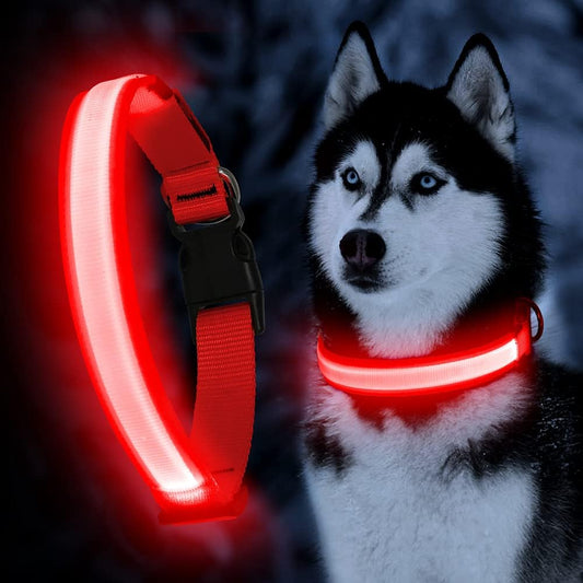 YFbrite Ultra Light Adjustable LED Dog Collar, Light up Dog Collars Rechargeable Glowing in The Dark Collars Visiblity & Safety for Small, Medium, Large Dogs (Red, Small)