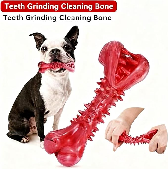 Natural Rubber Dog Chew Toy, Red, Dental Cleaning Bone with Bump Design, Teeth Grinding Stick (Beef Flavor)