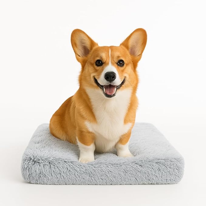 Dog Bed with Removable Cover, Orthopedic Dog Bed (Medium) - Premium Quality, Washable & Portable,Multiple Sizes, Stylish Design, Removable Cover, Size(19.68 x 15.74 X 2) inch